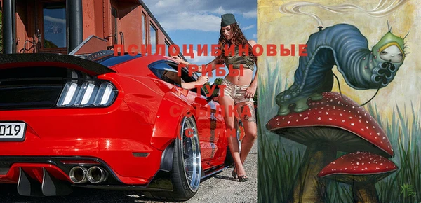 a pvp Армянск