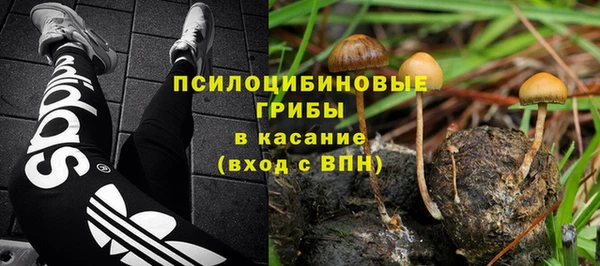 прущие грибы Арсеньев