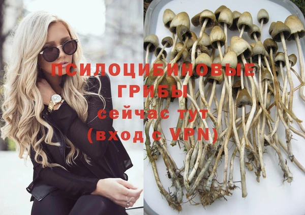 прущие грибы Арсеньев