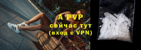 крисы Аркадак