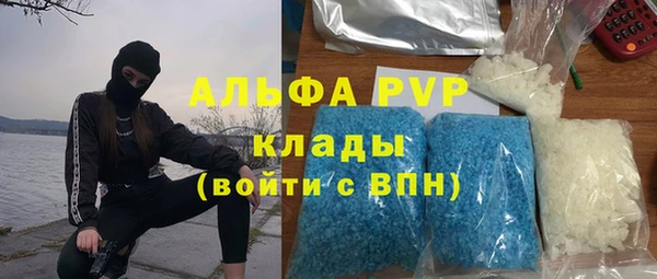 прущие грибы Арсеньев