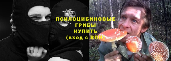 прущие грибы Арсеньев